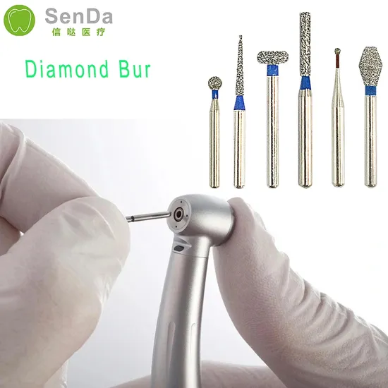 bur dental instrument