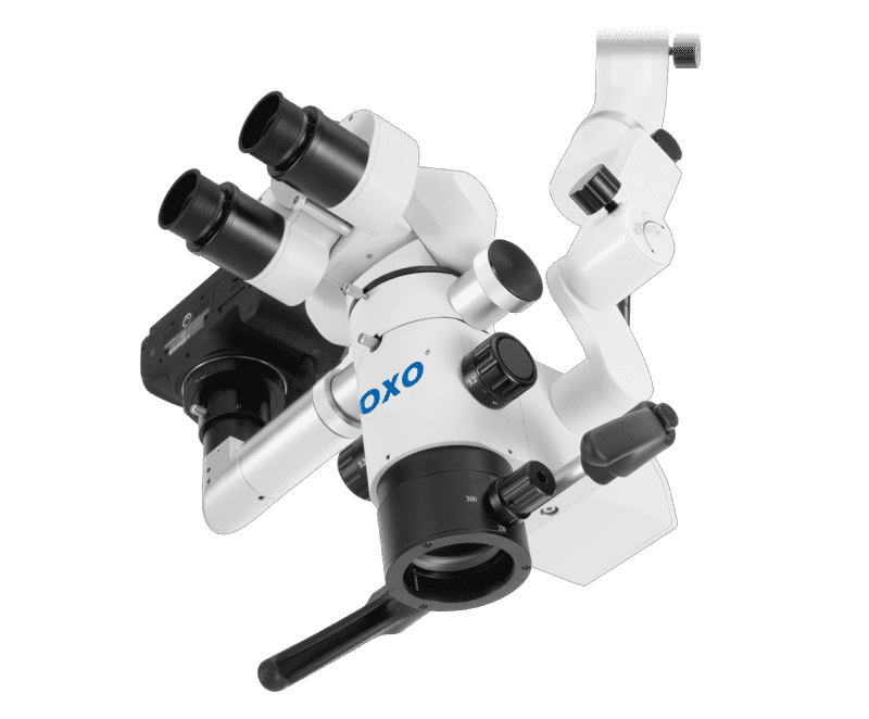 coxo dental microscope price