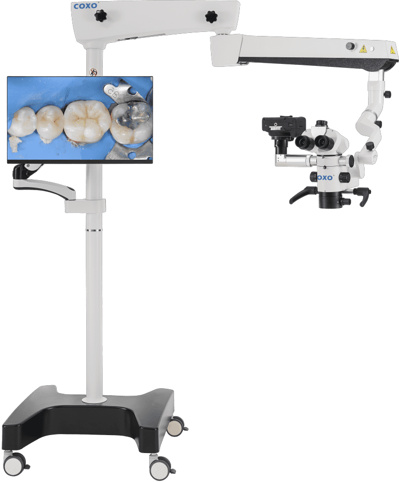 coxo dental microscope price