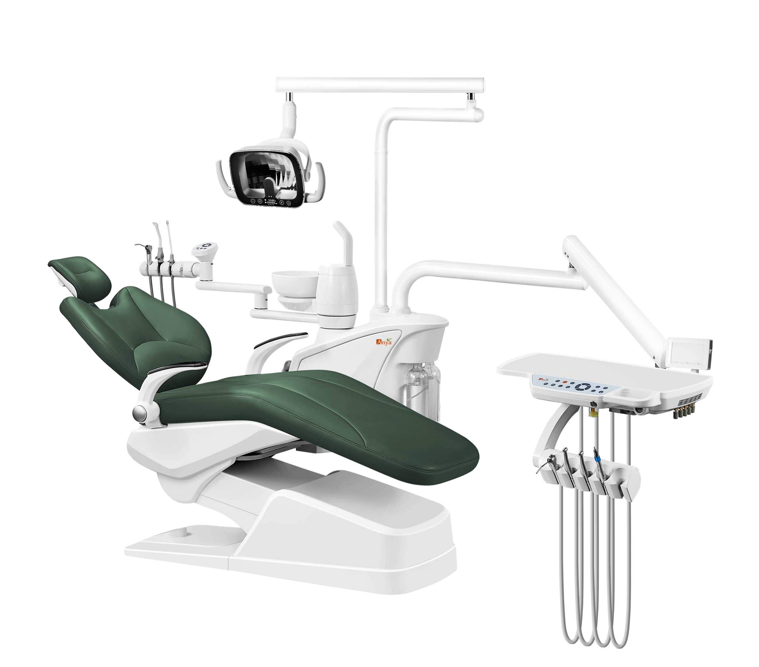 dental chair weight limit