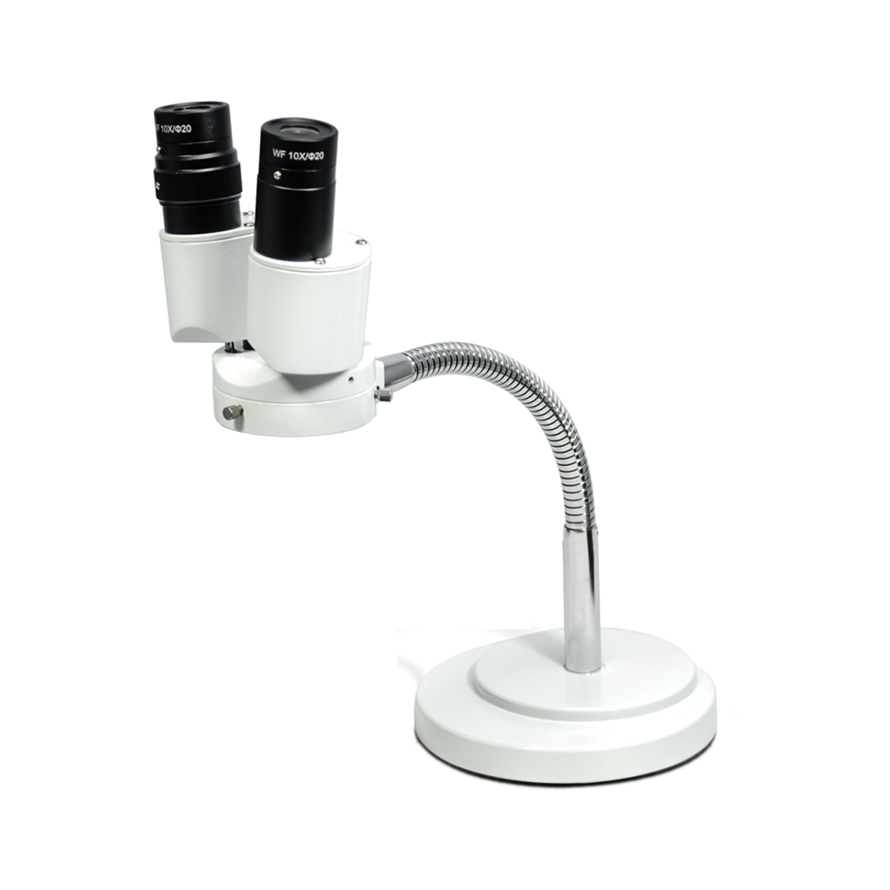 dental microscope price