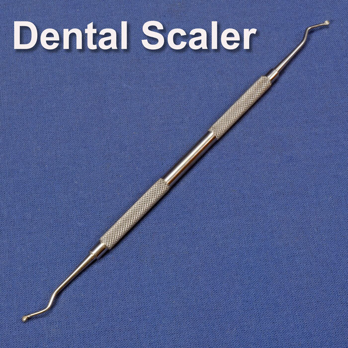 dental scaler tool