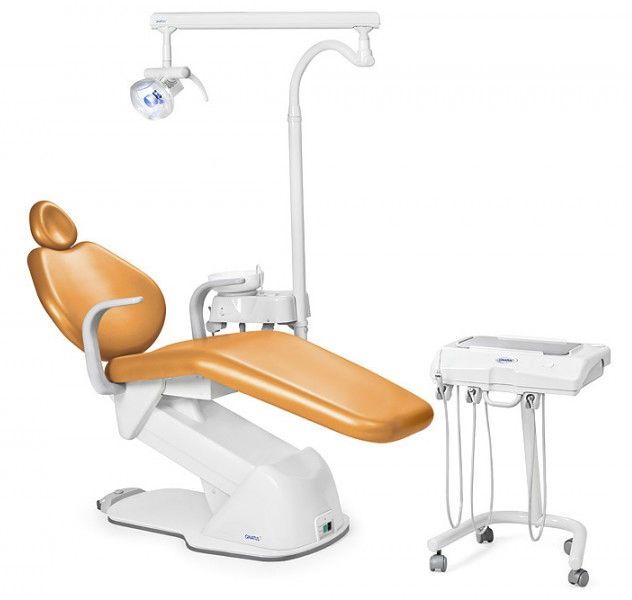 dental unit gnatus