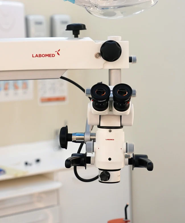 endo microscope magnification