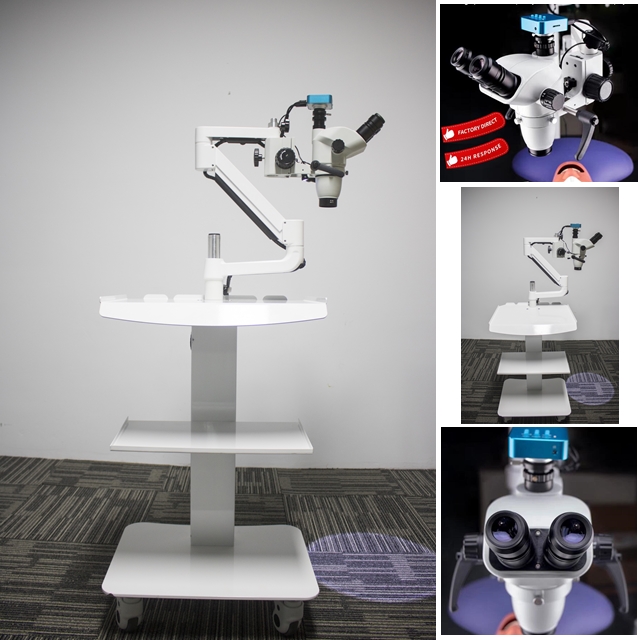 endodontic microscope for sale