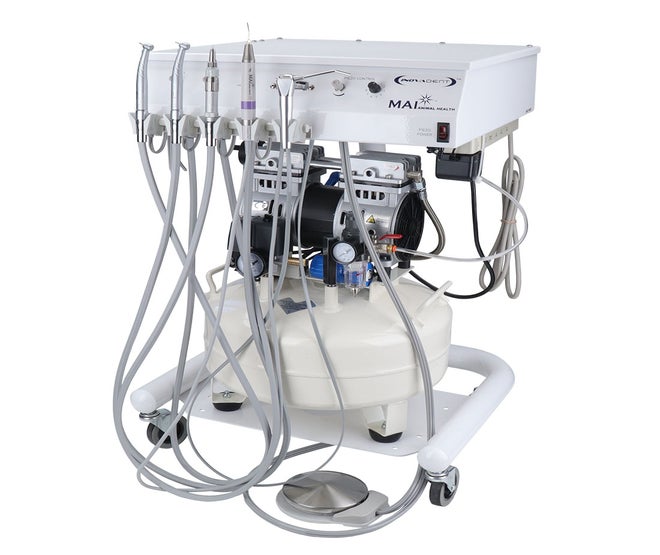 fast handpiece dental