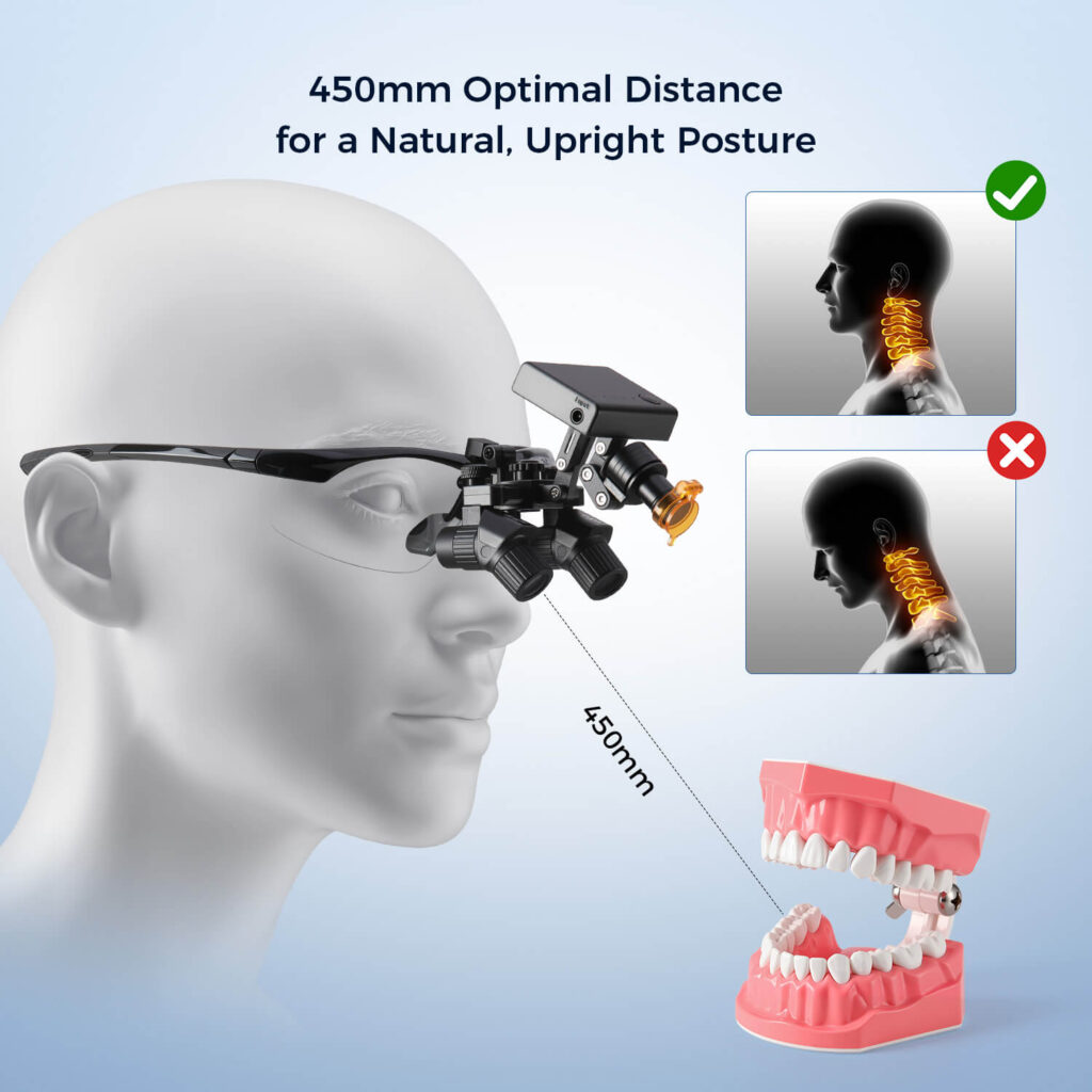 magnification loupes in endodontics Dental Equipment
