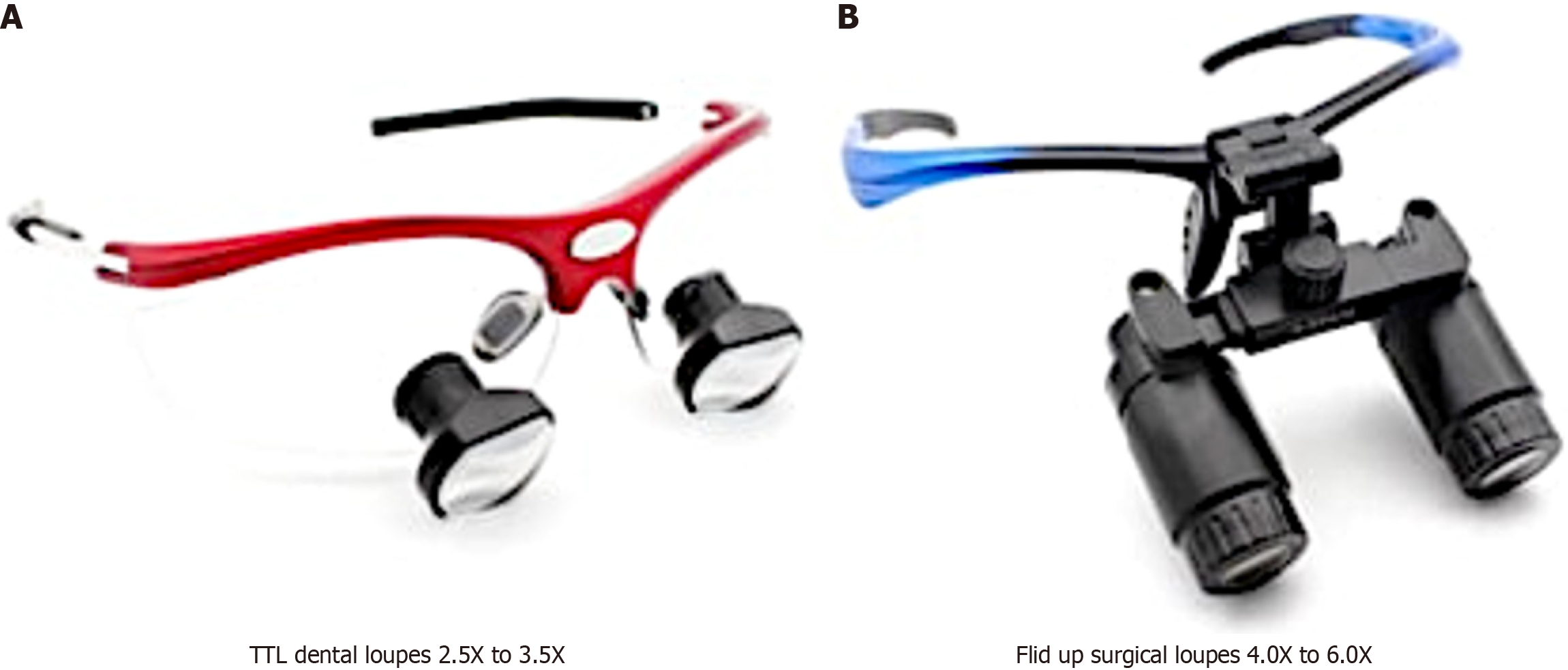 magnification loupes in endodontics