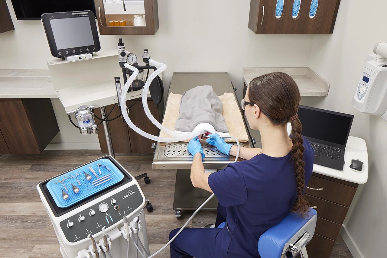 midmark dental equipment